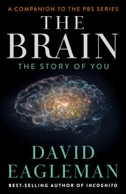 Brain : The Story of You